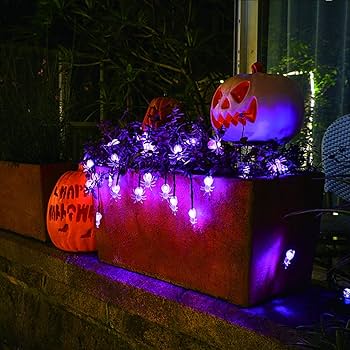 Qunlight Halloween Solar Lights, 2Pack 30 LED 20ft Purple